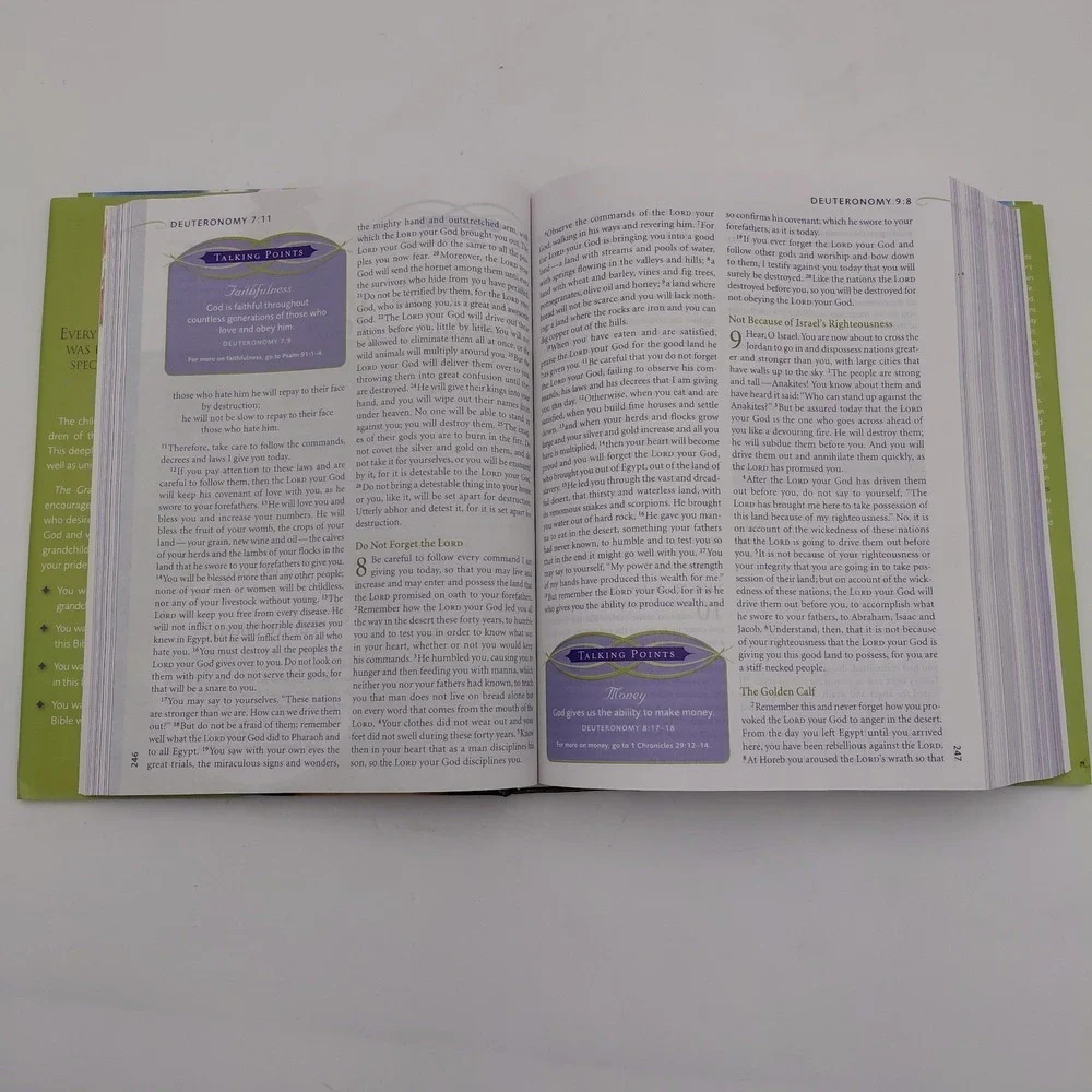 The Grandmothers Bible NIV Large Print Zondervan Hardcover Dust Cover No Writing
